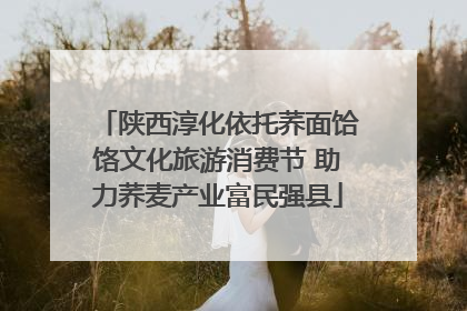 陕西淳化依托荞面饸饹文化旅游消费节 助力荞麦产业富民强县
