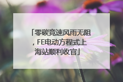 零碳竞速风雨无阻，FE电动方程式上海站顺利收官
