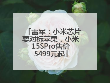 雷军：小米芯片要对标苹果，小米15SPro售价5499元起