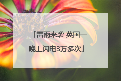 雷雨来袭 英国一晚上闪电3万多次