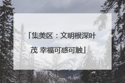 集美区：文明根深叶茂 幸福可感可触