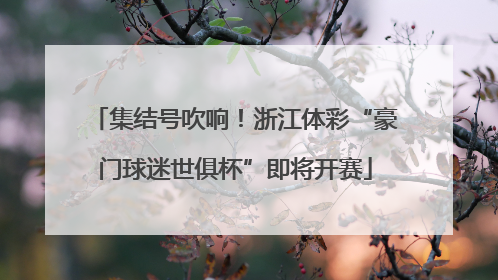 集结号吹响！浙江体彩“豪门球迷世俱杯”即将开赛