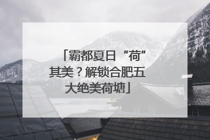 霸都夏日“荷”其美？解锁合肥五大绝美荷塘