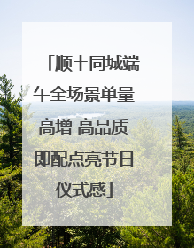 顺丰同城端午全场景单量高增 高品质即配点亮节日仪式感