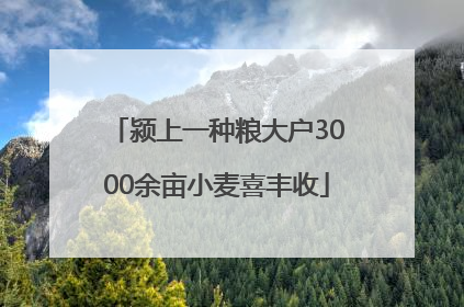 颍上一种粮大户3000余亩小麦喜丰收