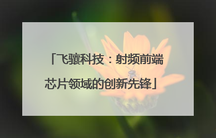 飞骧科技：射频前端芯片领域的创新先锋