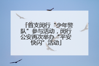 首支闵行“少年警队”参与活动，闵行公安再次举办“平安快闪”活动