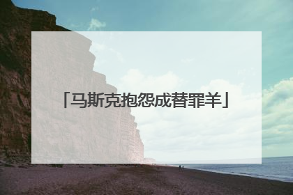 马斯克抱怨成替罪羊
