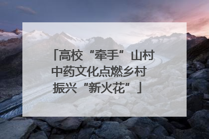 高校“牵手”山村 中药文化点燃乡村振兴“新火花”