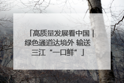 高质量发展看中国｜绿色通道达境外 输送三江“一口鲜”