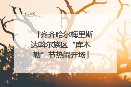 齐齐哈尔梅里斯达斡尔族区“库木勒”节热闹开场