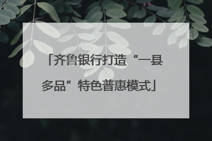 齐鲁银行打造“一县多品”特色普惠模式