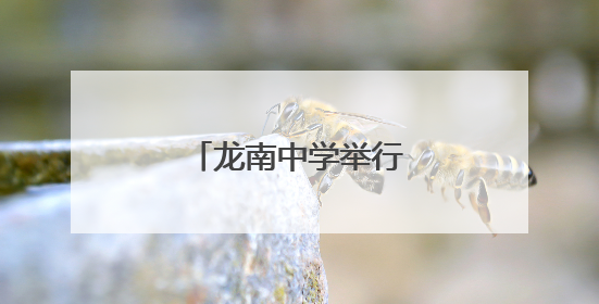 龙南中学举行教师荣休仪式