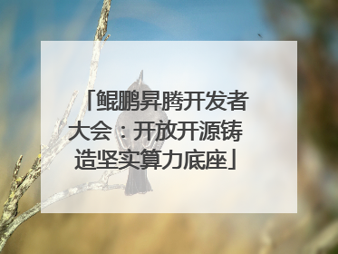 鲲鹏昇腾开发者大会：开放开源铸造坚实算力底座