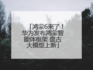 鸿蒙6来了！华为发布鸿蒙智能体框架 盘古大模型上新