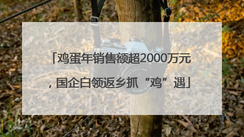鸡蛋年销售额超2000万元，国企白领返乡抓“鸡”遇