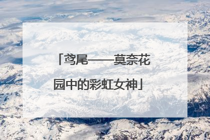 鸢尾——莫奈花园中的彩虹女神