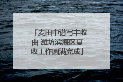 麦田中谱写丰收曲 潍坊滨海区夏收工作圆满完成