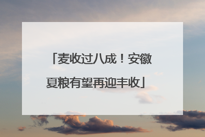 麦收过八成！安徽夏粮有望再迎丰收