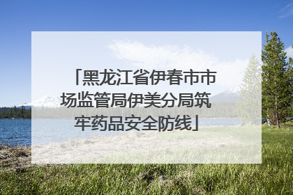 黑龙江省伊春市市场监管局伊美分局筑牢药品安全防线