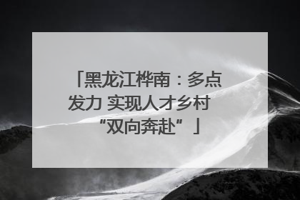 黑龙江桦南：多点发力 实现人才乡村“双向奔赴”