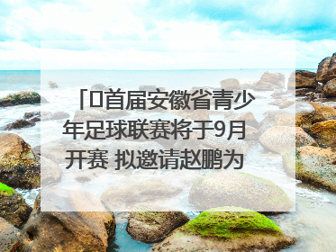 ﻿首届安徽省青少年足球联赛将于9月开赛 拟邀请赵鹏为先导赛开球