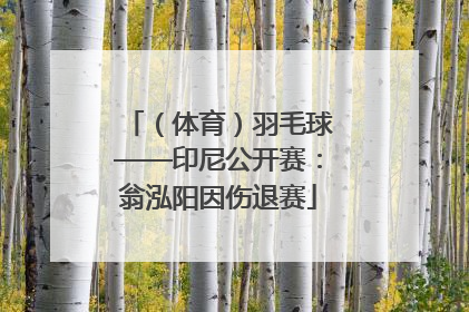 （体育）羽毛球——印尼公开赛：翁泓阳因伤退赛