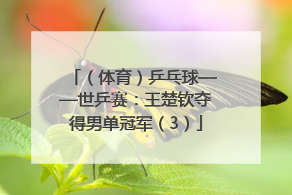 （体育）乒乓球——世乒赛：王楚钦夺得男单冠军（3）