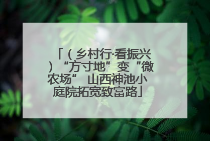 （乡村行·看振兴）“方寸地”变“微农场” 山西神池小庭院拓宽致富路
