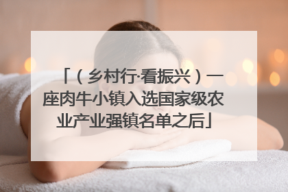 （乡村行·看振兴）一座肉牛小镇入选国家级农业产业强镇名单之后