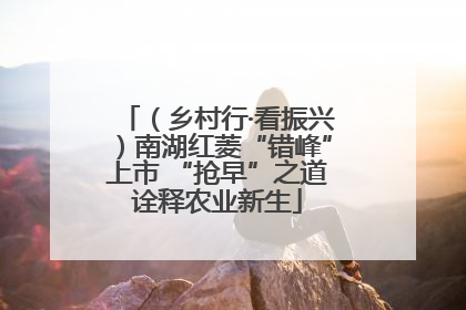 （乡村行·看振兴）南湖红菱“错峰”上市 “抢早”之道诠释农业新生