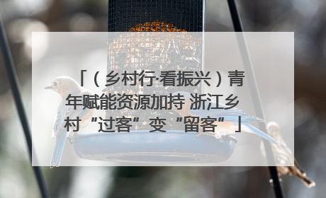 （乡村行·看振兴）青年赋能资源加持 浙江乡村“过客”变“留客”