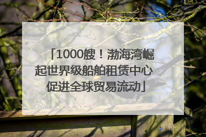 1000艘！渤海湾崛起世界级船舶租赁中心 促进全球贸易流动