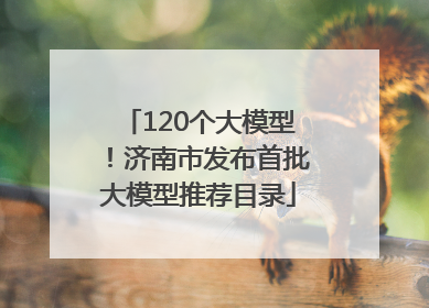 120个大模型！济南市发布首批大模型推荐目录