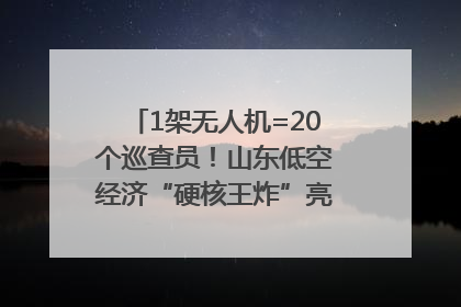 1架无人机=20个巡查员！山东低空经济“硬核王炸”亮相青岛，下一个万亿赛道藏在这里