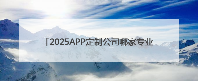 2025APP定制公司哪家专业，优质APP定制公司推荐10家