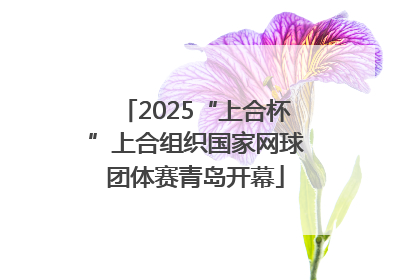2025“上合杯”上合组织国家网球团体赛青岛开幕