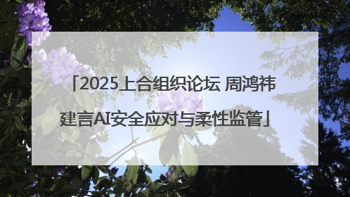 2025上合组织论坛 周鸿祎建言AI安全应对与柔性监管
