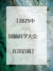 2025中国脑科学大会在汉启幕