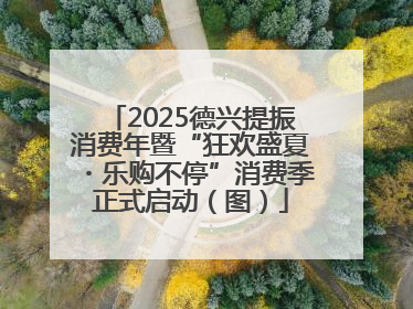 2025德兴提振消费年暨“狂欢盛夏・乐购不停”消费季正式启动（图）