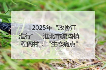 2025年“政协江淮行”｜淮北市渠沟镇程阁村：“生态痛点”变“生态景观”