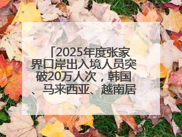 2025年度张家界口岸出入境人员突破20万人次，韩国、马来西亚、越南居客源国前三