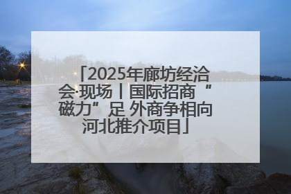 2025年廊坊经洽会·现场丨国际招商“磁力”足 外商争相向河北推介项目
