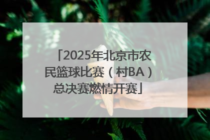 2025年北京市农民篮球比赛（村BA）总决赛燃情开赛