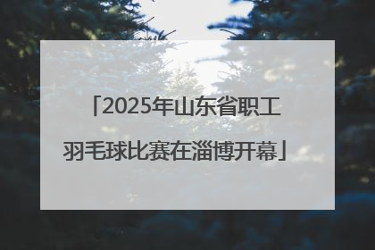 2025年山东省职工羽毛球比赛在淄博开幕