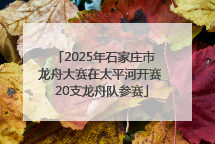 2025年石家庄市龙舟大赛在太平河开赛 20支龙舟队参赛
