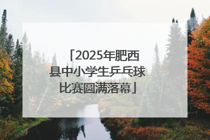 2025年肥西县中小学生乒乓球比赛圆满落幕