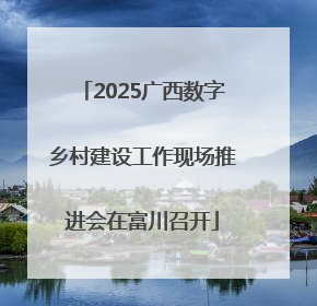 2025广西数字乡村建设工作现场推进会在富川召开