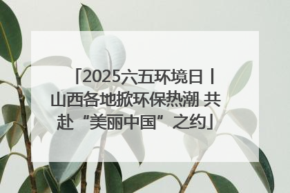 2025六五环境日丨山西各地掀环保热潮 共赴“美丽中国”之约
