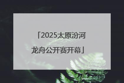 2025太原汾河龙舟公开赛开幕